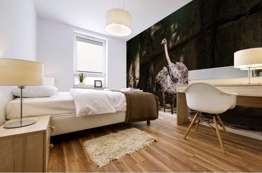 Feathers Fluffed  Ostrich  Mural print