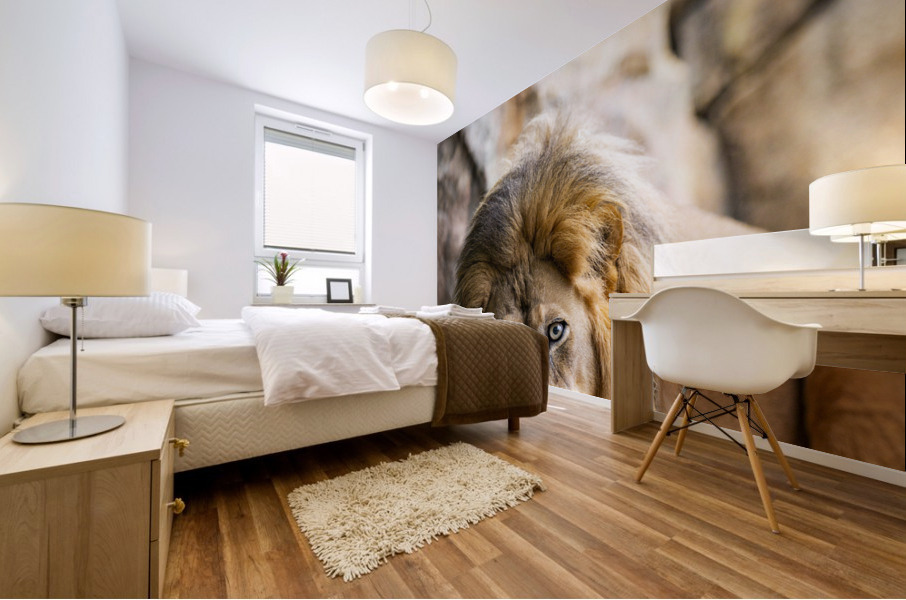 Connection  Lion  Mural print