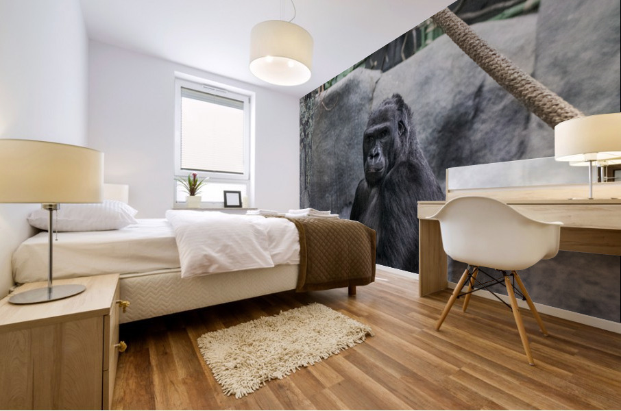 Baby Gorilla  Mural print