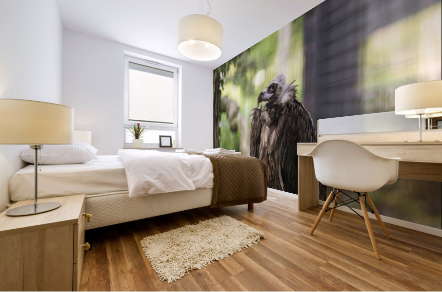 Buzzard Mural print