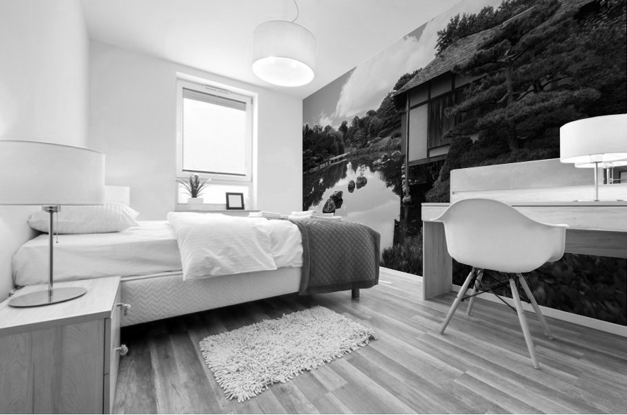 Black White Pond Mural print