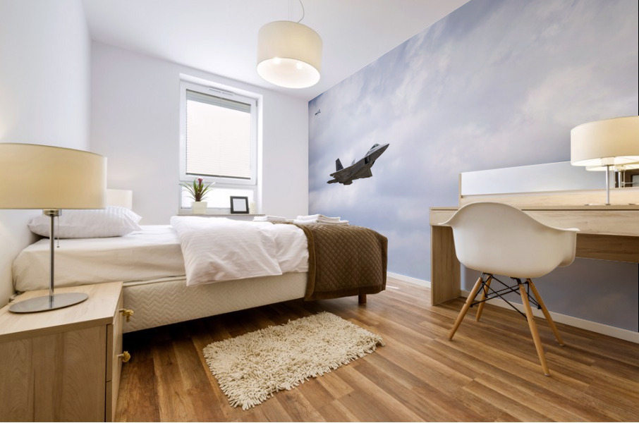Military Pass Mural print