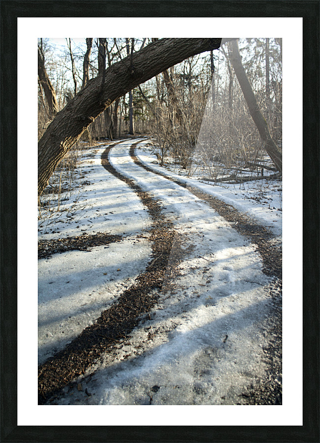 Snowy Trails Picture Frame print