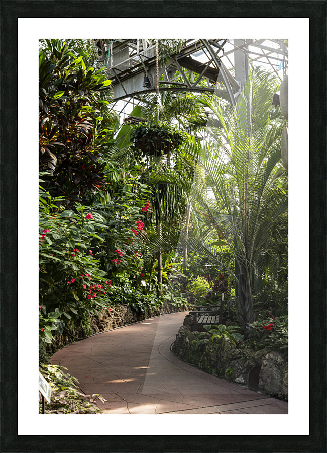 Urban Forests Picture Frame print