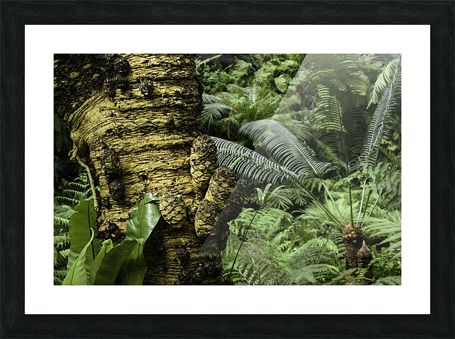 Trees Textures Picture Frame print