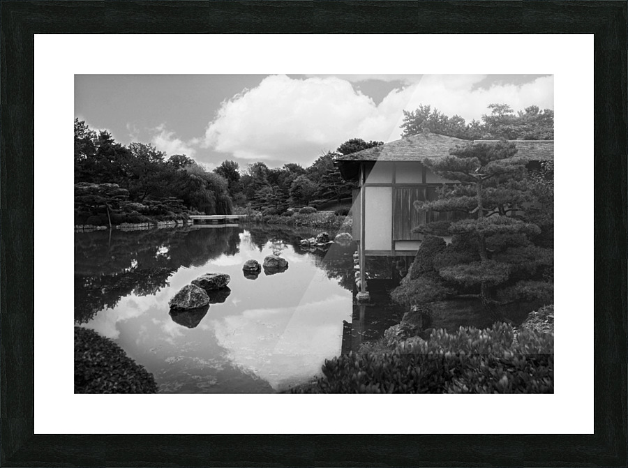Black White Pond Picture Frame print