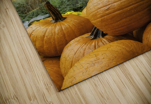 Pumpkins Ashley ML Studios puzzle