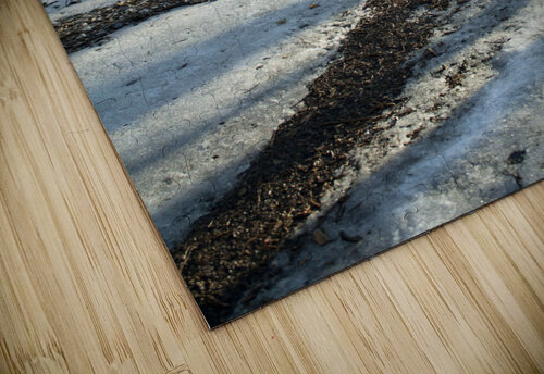 Snowy Trails Ashley ML Studios puzzle