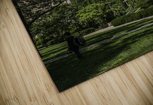 College Green Ashley ML Studios puzzle