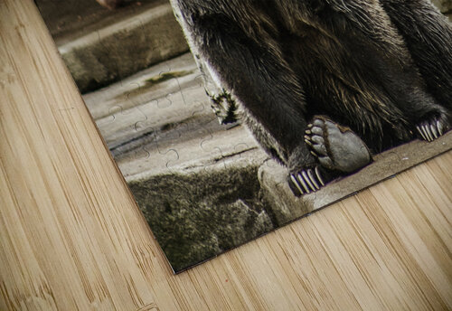 Greetings  Brown Bear  Ashley ML Studios puzzle