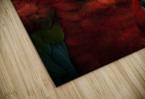 Parrot Portrait Ashley ML Studios puzzle