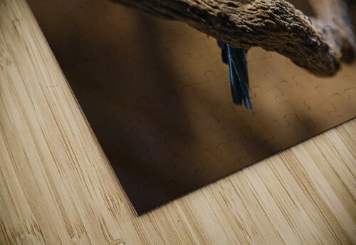 Perfect Pose  Bird  Ashley ML Studios puzzle