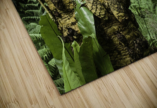 Trees Textures Ashley ML Studios puzzle
