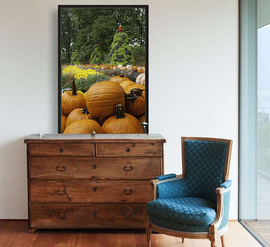 Pumpkins Reproduction