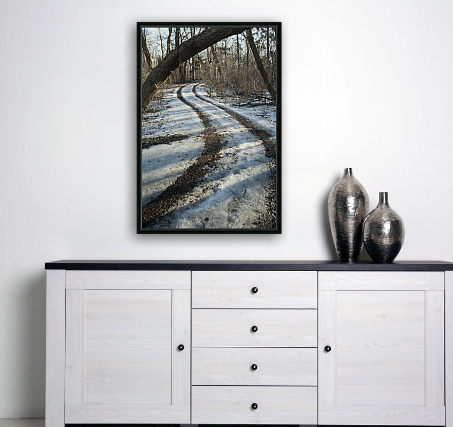 Snowy Trails Reproduction