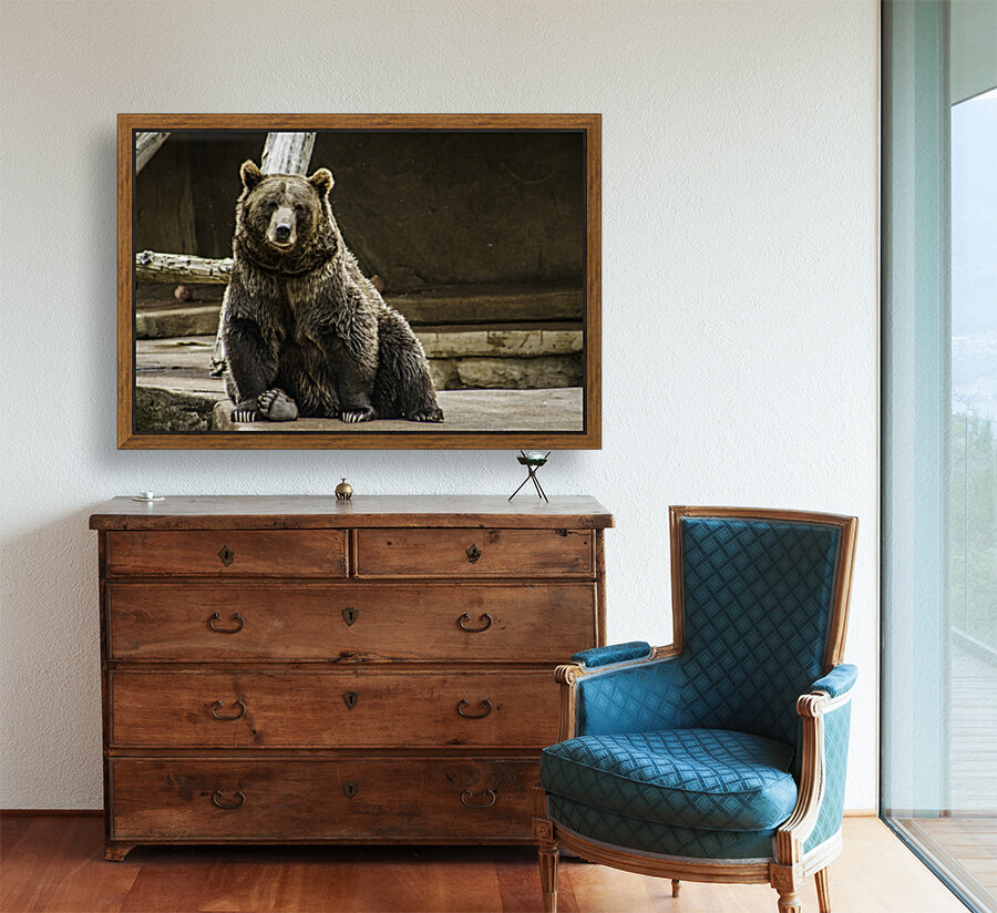 Greetings  Brown Bear  Reproduction