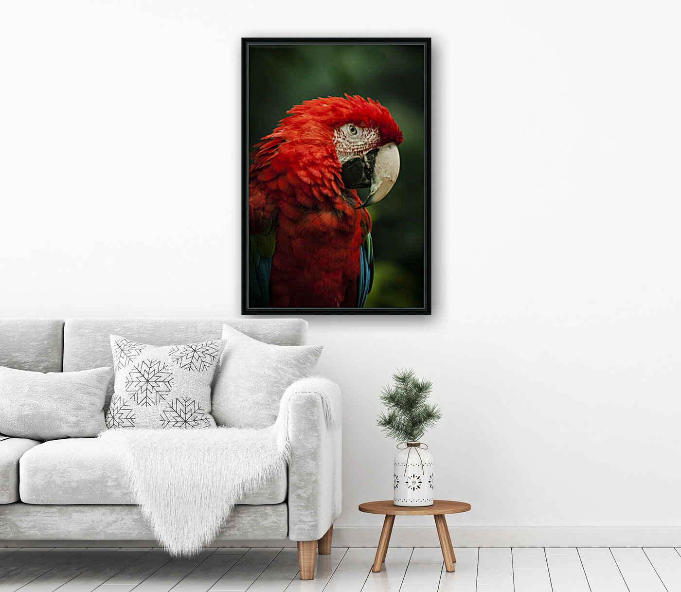Parrot Portrait Reproduction