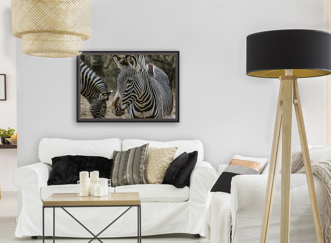 Stripes  Zebra  Reproduction
