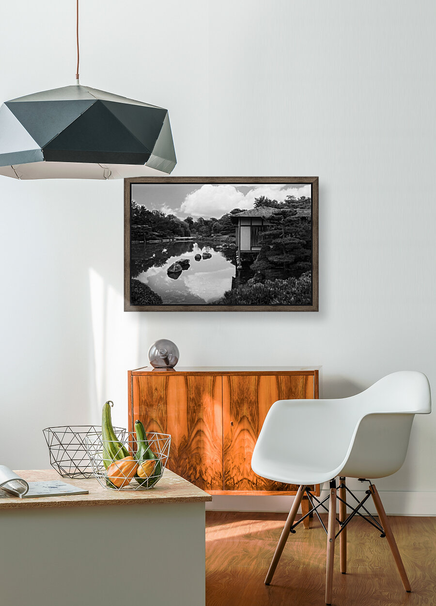 Black White Pond Reproduction