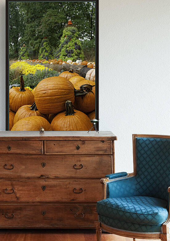 Pumpkins Reproduction