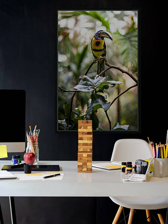 Standing Out  Tucan  by Ashley ML Studios