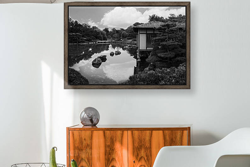 Black White Pond Reproduction