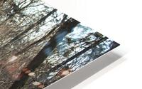 Snowy Trails HD Metal print