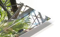 Urban Forests HD Metal print