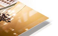 Elegents  HD Metal print