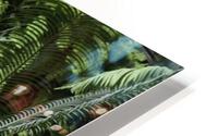 Trees Textures HD Metal print