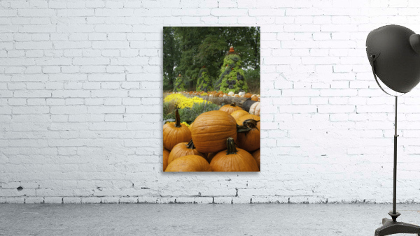 Pumpkins Wall Preview