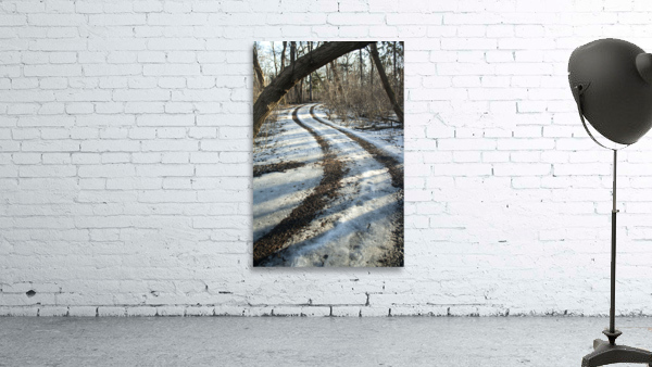 Snowy Trails Wall Preview