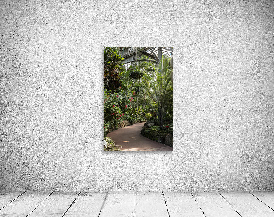 Urban Forests Wall Preview