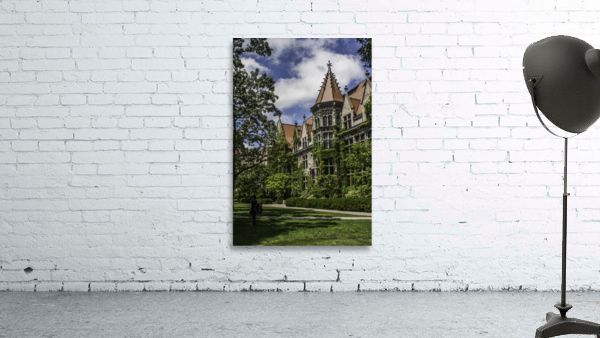 College Green Wall Preview