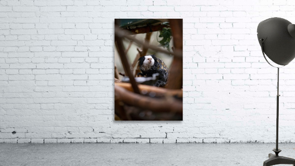 Through The Trees  Marmoset  Wall Preview