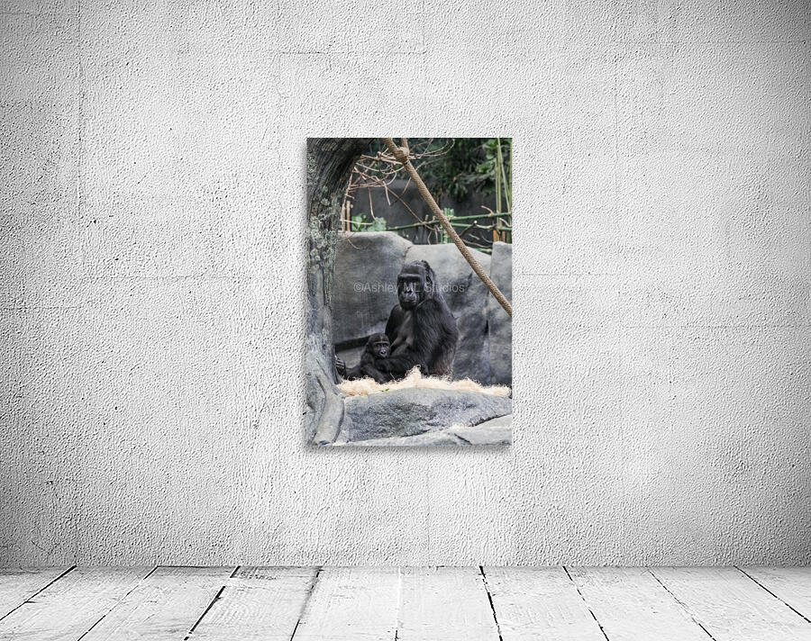 Baby Gorilla  Wall Preview