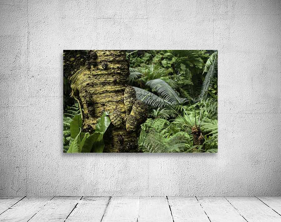 Trees Textures Wall Preview