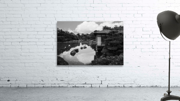 Black White Pond Wall Preview