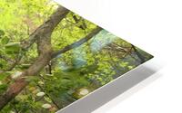 Falls at a Distance HD Metal print