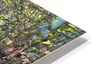 Serenity Now HD Metal print