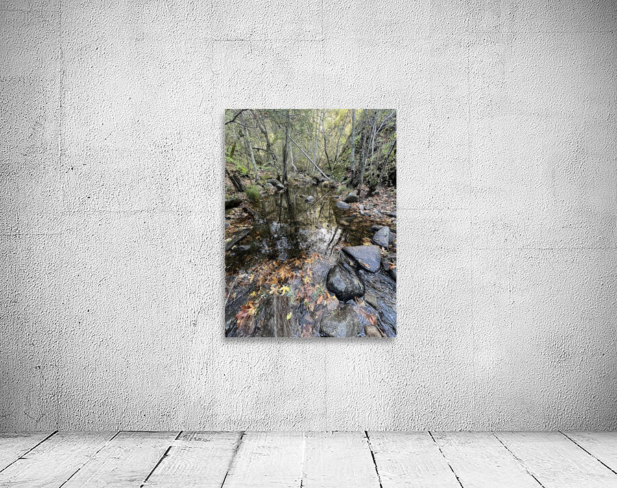 Fall Arrives Wall Preview