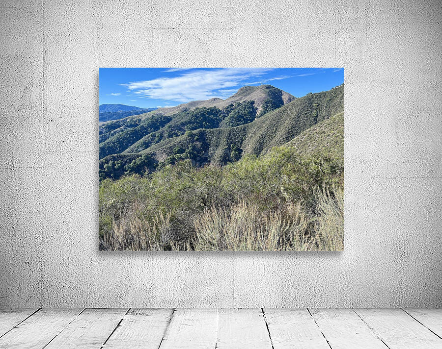 Carmel Valley Wall Preview