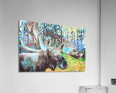 Blue Moose Acrylic Print