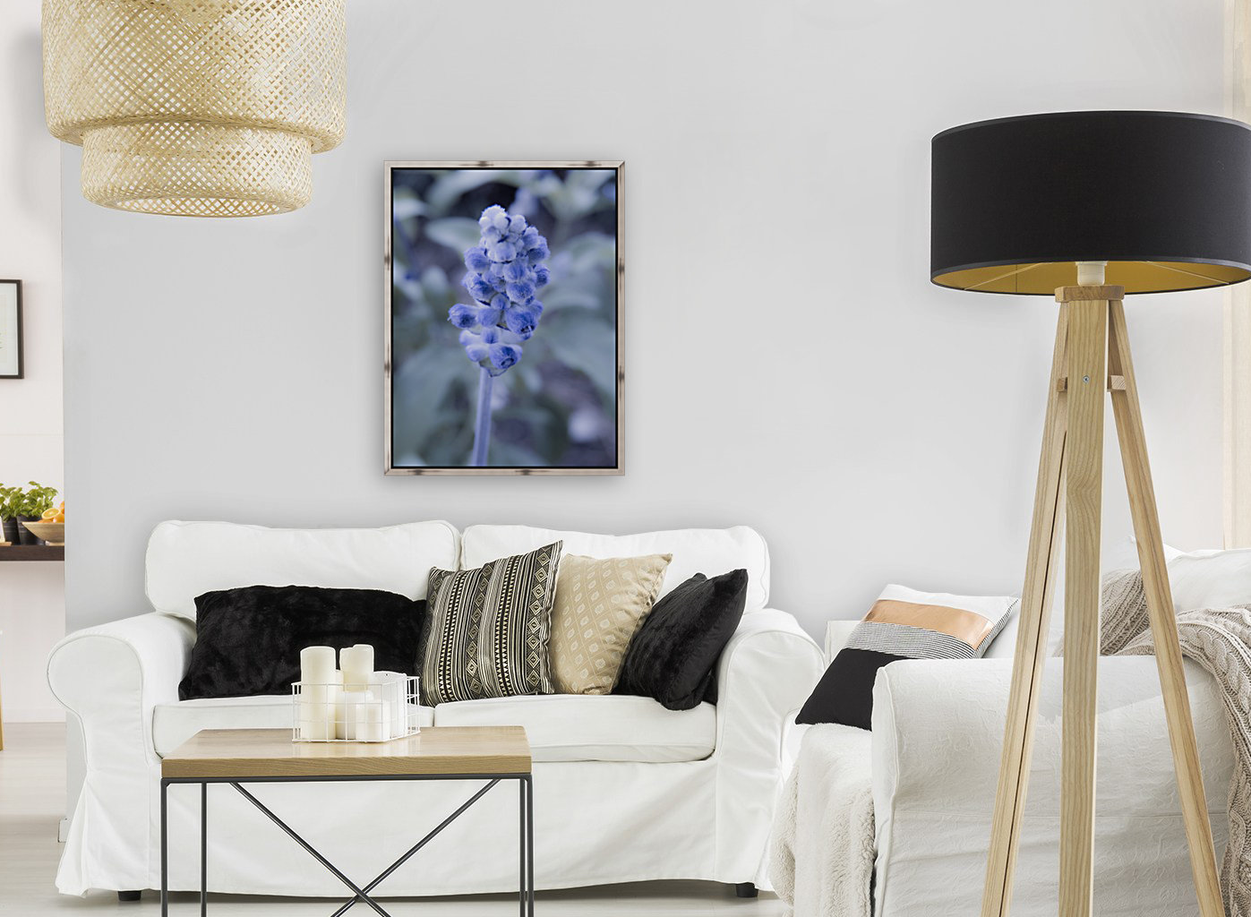 Purple flower  Reproduction