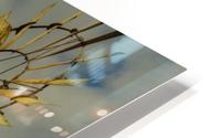 Aeromotor Windmill HD Metal print