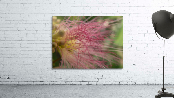 Pink Tangles Wall Preview
