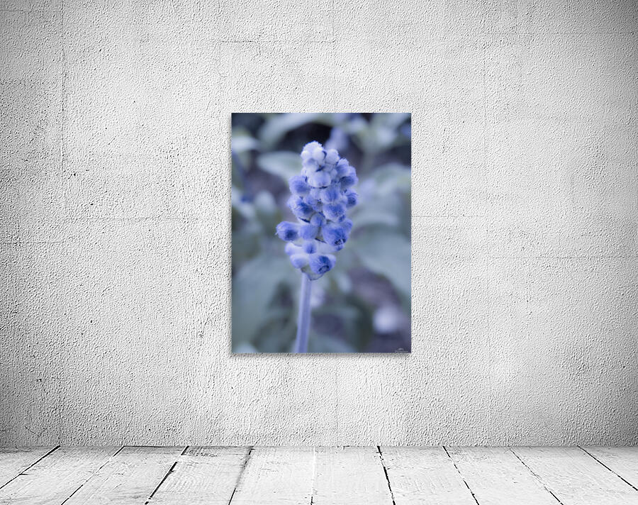 Purple flower  Wall Preview