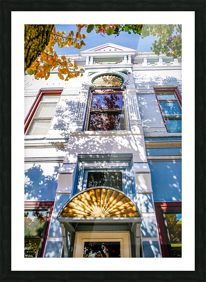 Looking Up Picture Frame print