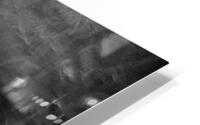 Black & white  HD Metal print
