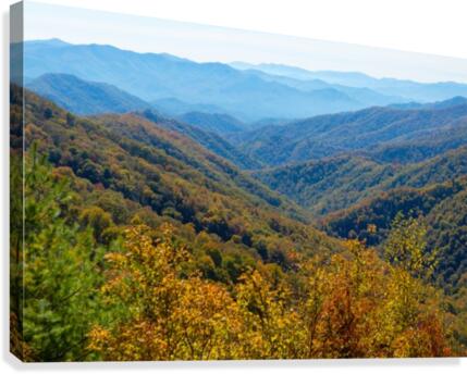 Smoky Mountain View Canvas Print